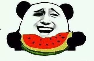 娱乐吃瓜手,吃瓜手带你领略幕后风云